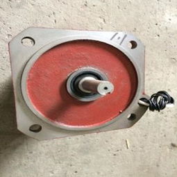 供應(yīng)福樂斯ydfw 311 4閥門電動(dòng)裝置電機(jī)